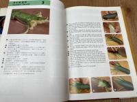 洋書/中国菜 第二冊 Chinese Cuisine 2