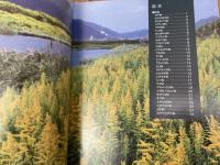写真で見る 外来雑草