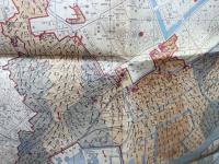帝都大震火災系統地図【1923年（大正12年9月）複製】