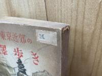 東京近郊の澤歩き