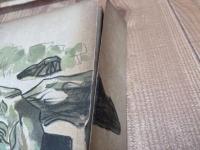 東京近郊の澤歩き