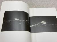 モート・シュナーベル　Mote Schnabel　No where　Abahouse devinette