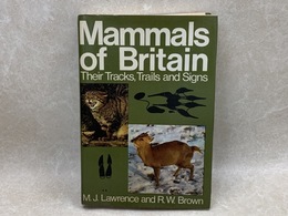 洋書　イギリスの動物　足跡・獣道