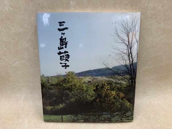 少年隊 写真集 Duet創刊1周年記念(田巻照敏) / 太田書店(株