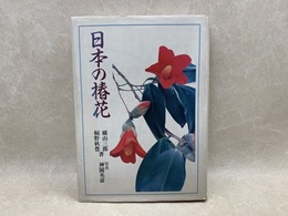 日本の椿花
