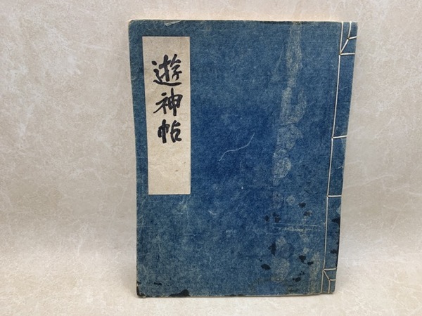 定率割引 西日本 徳川家康替玉説【東照公三百五十年祭記念出版】(村本山雨楼主人 日本史