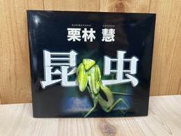 昆虫