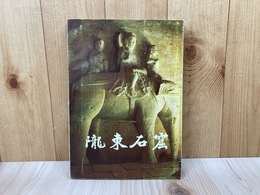 中文図録　隴東石窟