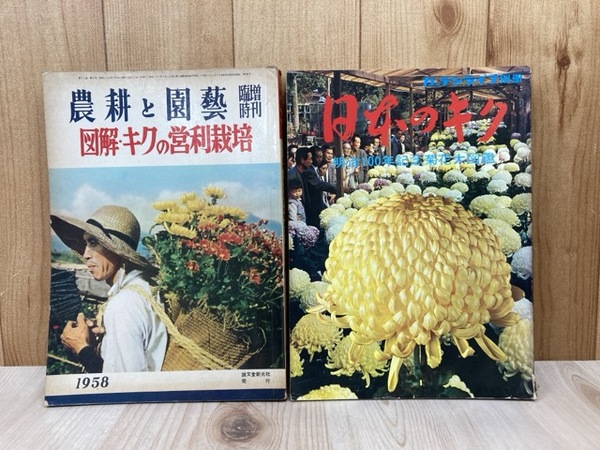 西域出土の木簡と残紙 全二冊(比田井南谷) / 太田書店(株