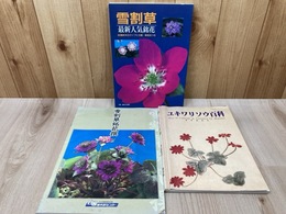 雪割草　最新人気銘花　別冊趣味の山野草　＋2冊　まとめ