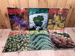 週刊朝日百科 植物の世界 14冊【シダ・コケ・地衣・藻類・キノコの世界】　
