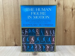 洋書　THE HUMAN FIGURE IN MOTION