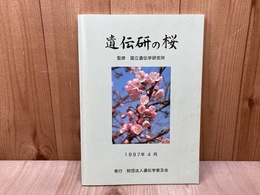遺伝研の桜