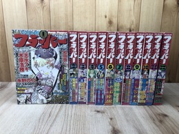 月刊コミック　フラッパーNo14-25まで12冊【2001年揃】