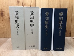 愛知県史 資料編 13・14の2冊【織豊 3/中世・織豊】