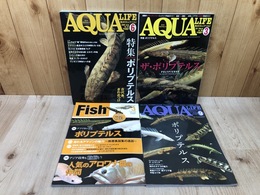 アクアライフ　ポリプテルス特集号3冊(No347/380/518)+1