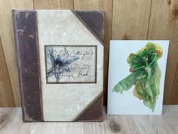 洋書/ブライアン・フラウド/妖精 Lady Cottington Pressed Fairy