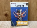 多肉植物　（カラーブックス）