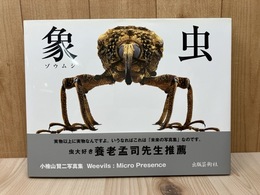 象虫　マイクロプレゼンス 　小檜山賢二写真集
