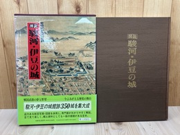 図説　駿河・伊豆の城【大型本/小和田哲男 監修】