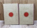 日本地理大系 満洲及南洋篇+海外発展地篇 下巻(支那・南洋他）