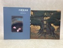 図録　大藪雅孝展　2冊　いとしきものたちの世界/浸透するまなざし