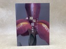 神保雅　木彫展　日本の四季を彫る