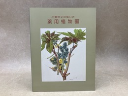 小磯良平の描いた薬用植物画