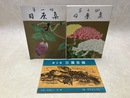 第一回　日展集/第二回日展集/第2回　日展目録　計3冊