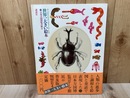 普及版　世界一大きい絵本　日本万国博覧会展示