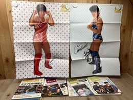 1985年のデラックス・プロレス 3-12月号まで10冊