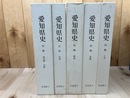 愛知県史 別編 文化財 全5冊揃【建造物・史跡/絵画/彫刻/典籍/工芸】