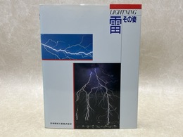 雷　その後　LIGHTNING