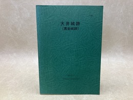 大井城跡（黒岩城跡）発掘調査報告書