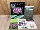 サクラソウ関連5点【日本サクラソウ/保全生態学とは何か/さくらそう 他】
