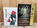 日本の椿花+古都の椿