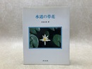 水辺の草花