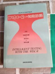 WISC-Rによる知能診断