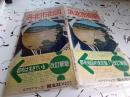 エアリアマップ　浜北市街図　(市域全図入り1:10.000)
