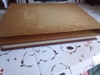 キクつくりのすべて