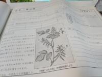 郷土の伝統工芸織　掛川の葛布
