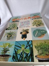 主婦の友園芸ガイド別冊①趣味の古典植物