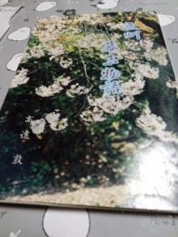 豆州幕末物語