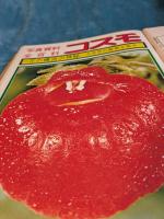 写真資料全百科　　コスモ  1号～12号まで　12冊 
