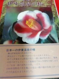 日本一花が長く咲く　伊東温泉の椿