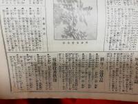 帝国絵画新報　大正13年11冊で 