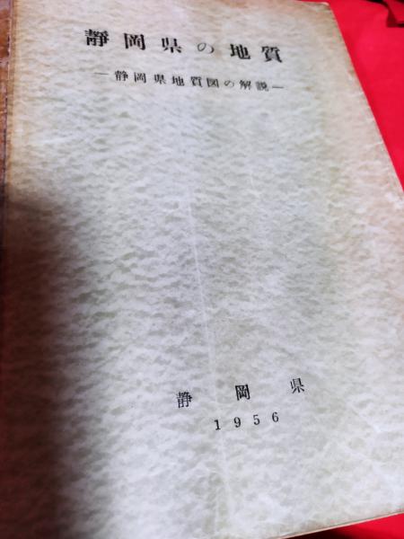定本 遠州の南画(菅沼貞三*監修) / 仲書店 / 古本、中古本、古