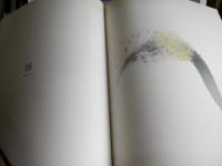 織作峰子写真集　DIMENSIONS