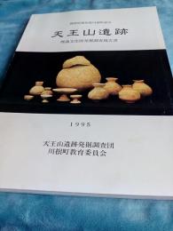 静岡県榛原郡川根町家山　天王山遺跡　埋蔵文化財発掘調査報告書