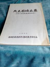 天王原墳丘墓  (平成元年度発掘調査報告)